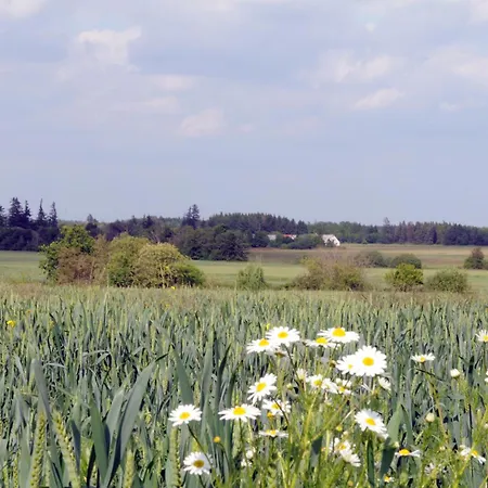 Fitting Landsbyferie Appartement Vorbasse